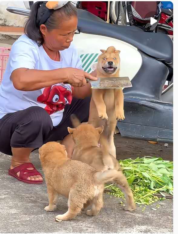 一天不做一套这种体操 浑身都觉得不得劲